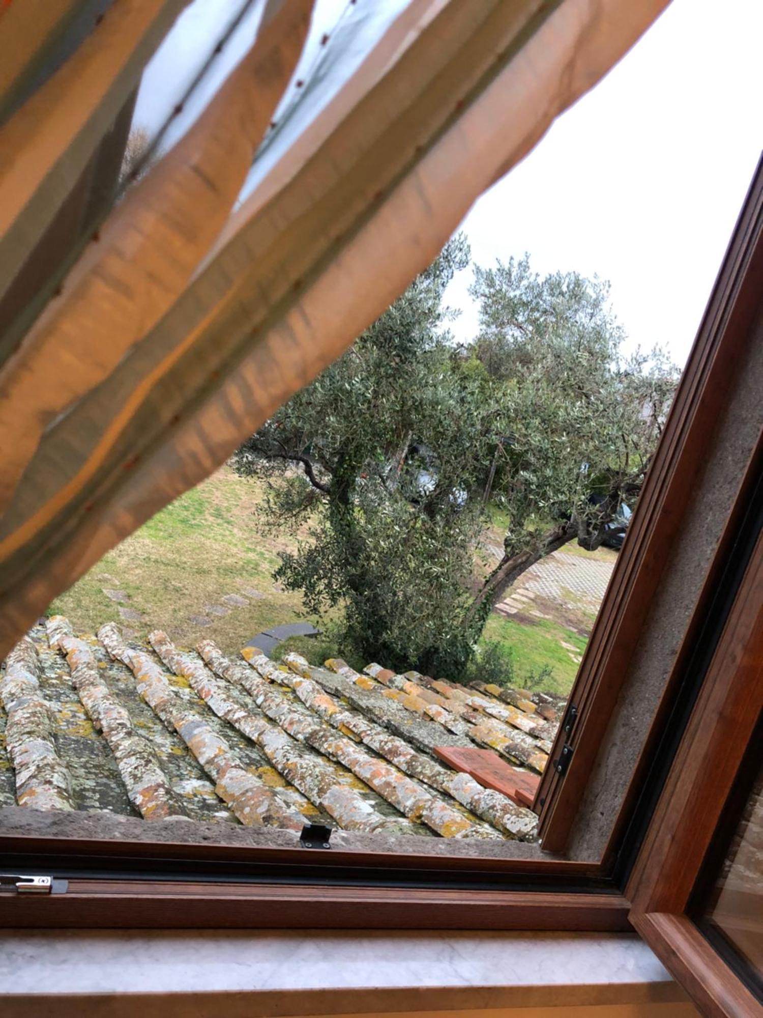 La Finestra Di Umberto Vicino Al Centro Con Parcheggio Privato Bed & Breakfast Viterbo Bagian luar foto